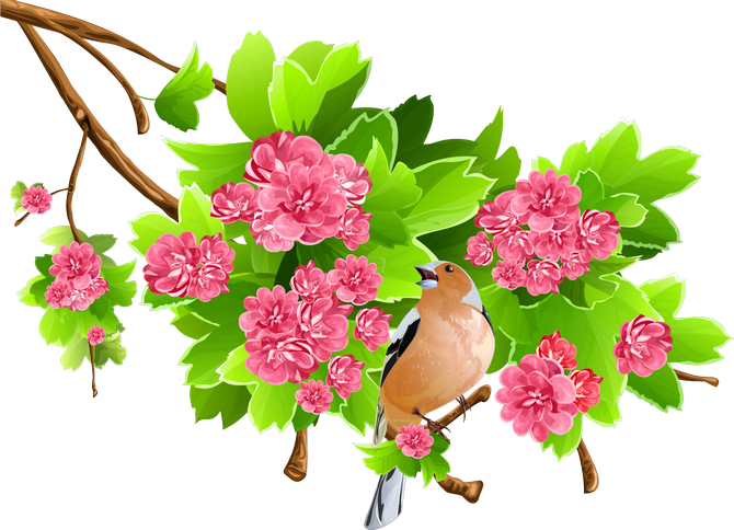 Clip Art - Transparent Png Clipart Spring Flower Png (670x484)