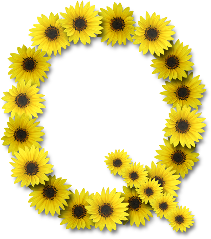 Alfabeto Sunflowers - Letra D Con Girasoles (678x768)