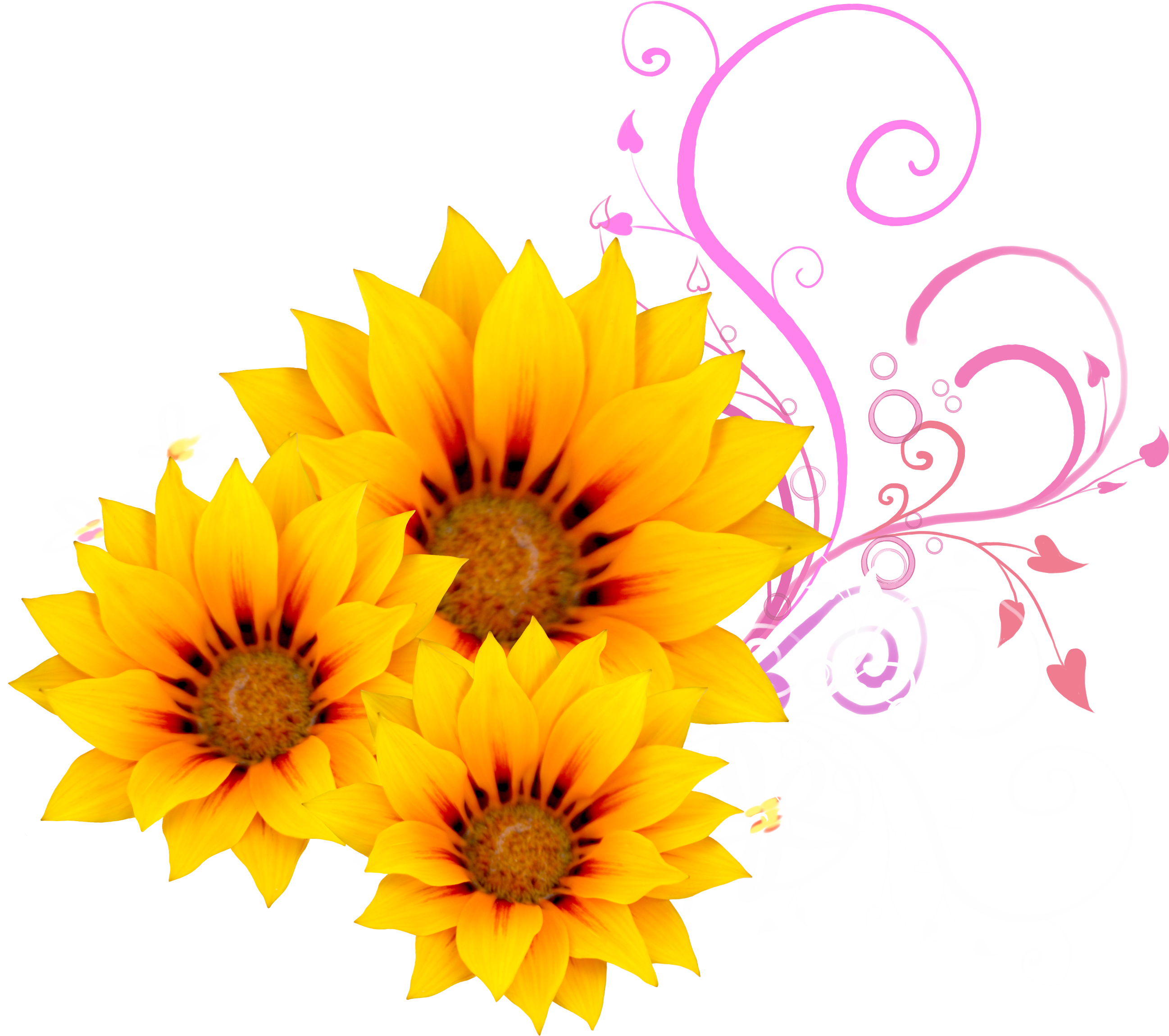 Flower Watercolor Painting - Common Sunflower (2612x2299)