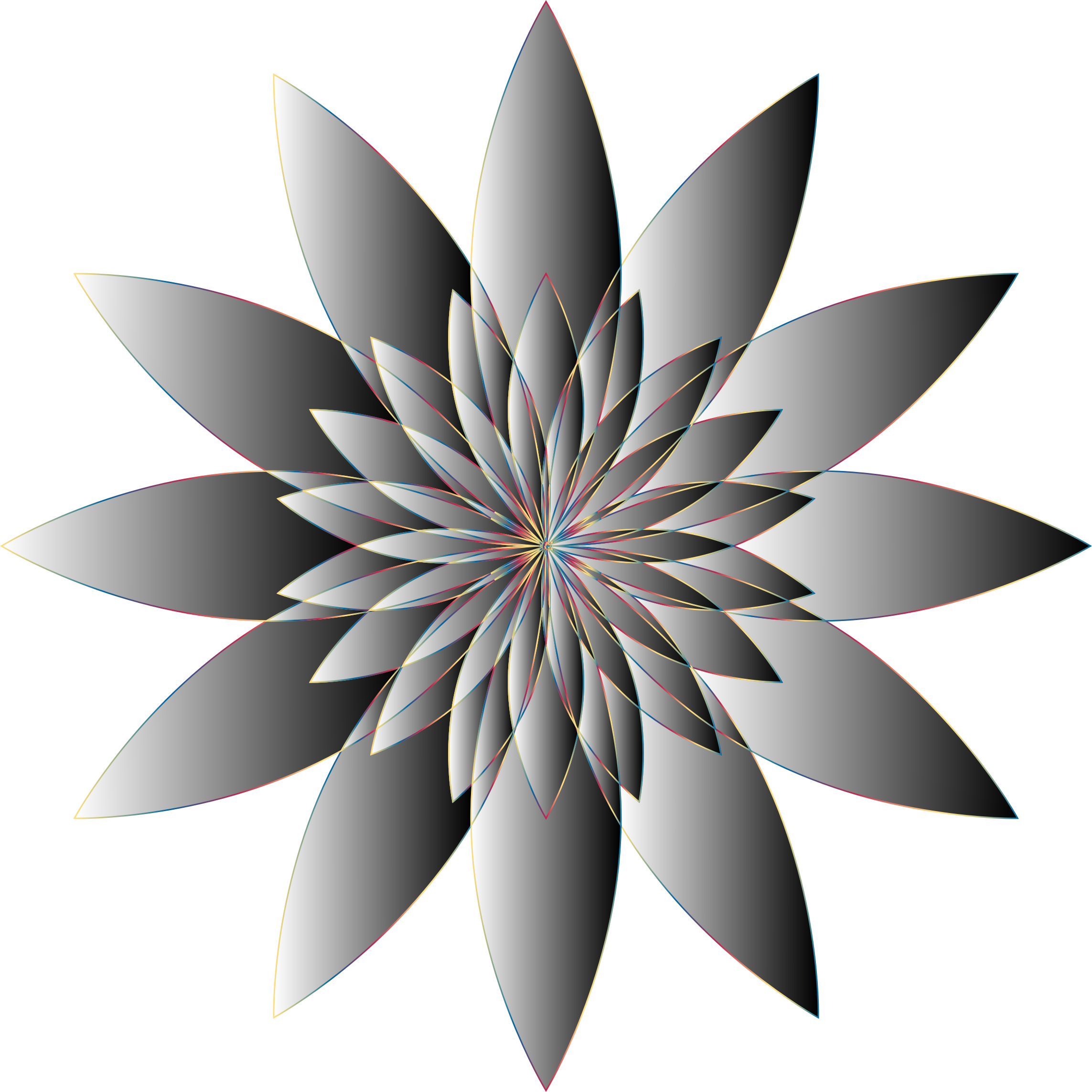Chromatic Flower 16 No Background - Portable Network Graphics (2286x2286)