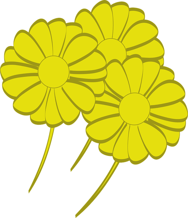 Spring Flowers Clipart 13, - Desenhos De Flores Amarelas Png (621x720)