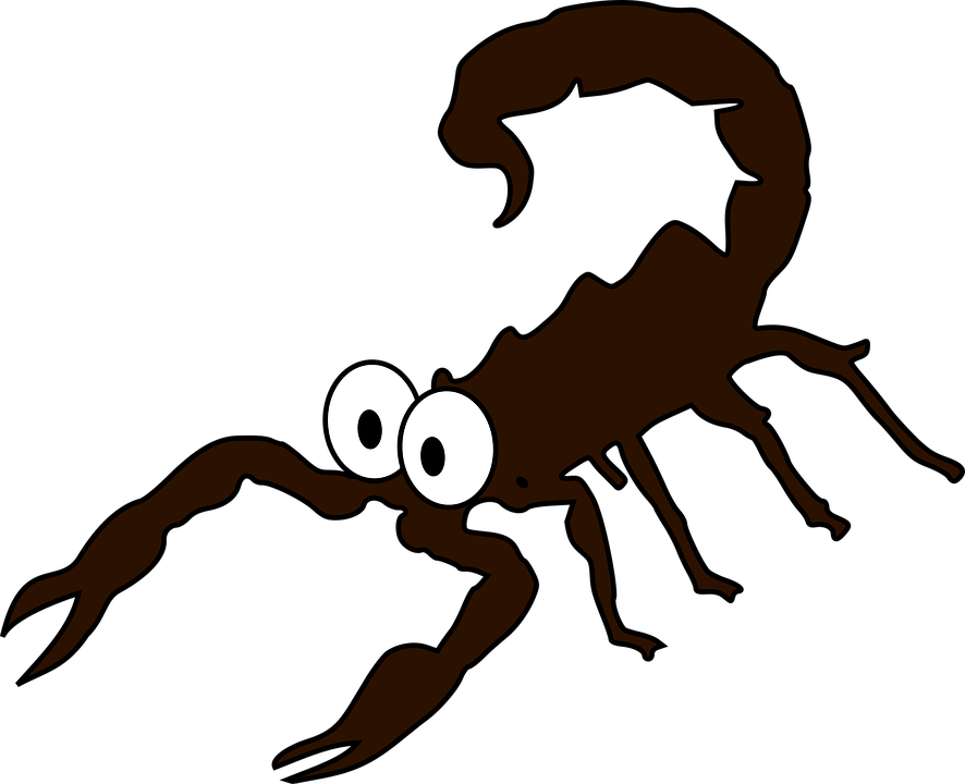 Spider Cartoon Images 24, Buy Clip Art - Escorpion Dibujo Png (2400x2400)
