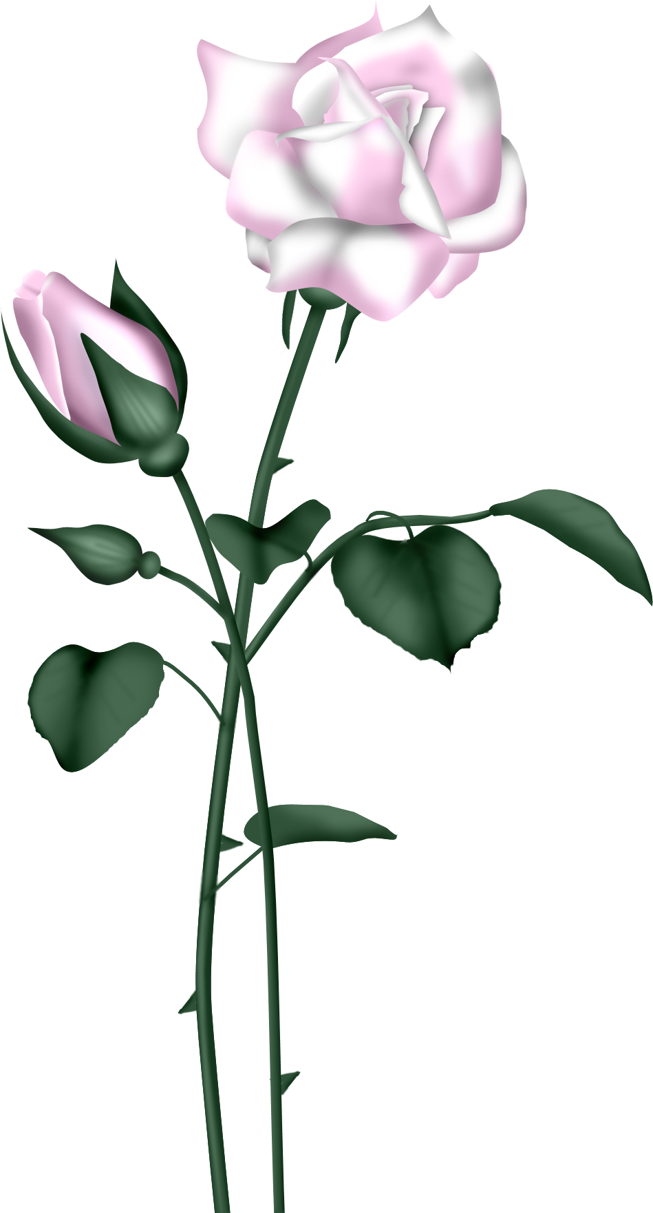 Flower - Granddaughter, Birthday Card With A Oval Ornament (1191x1900)