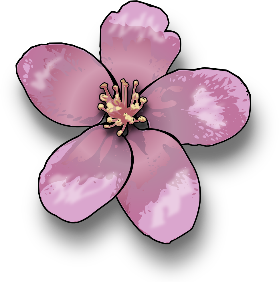 Apple Blossom - Flower Of A Tree Clipart (1000x1000)