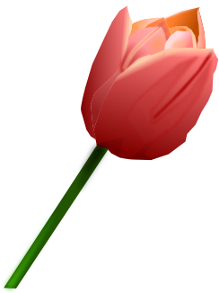 Flowers Clip Art Pink Tulip Clip Art - Sprenger's Tulip (726x975)