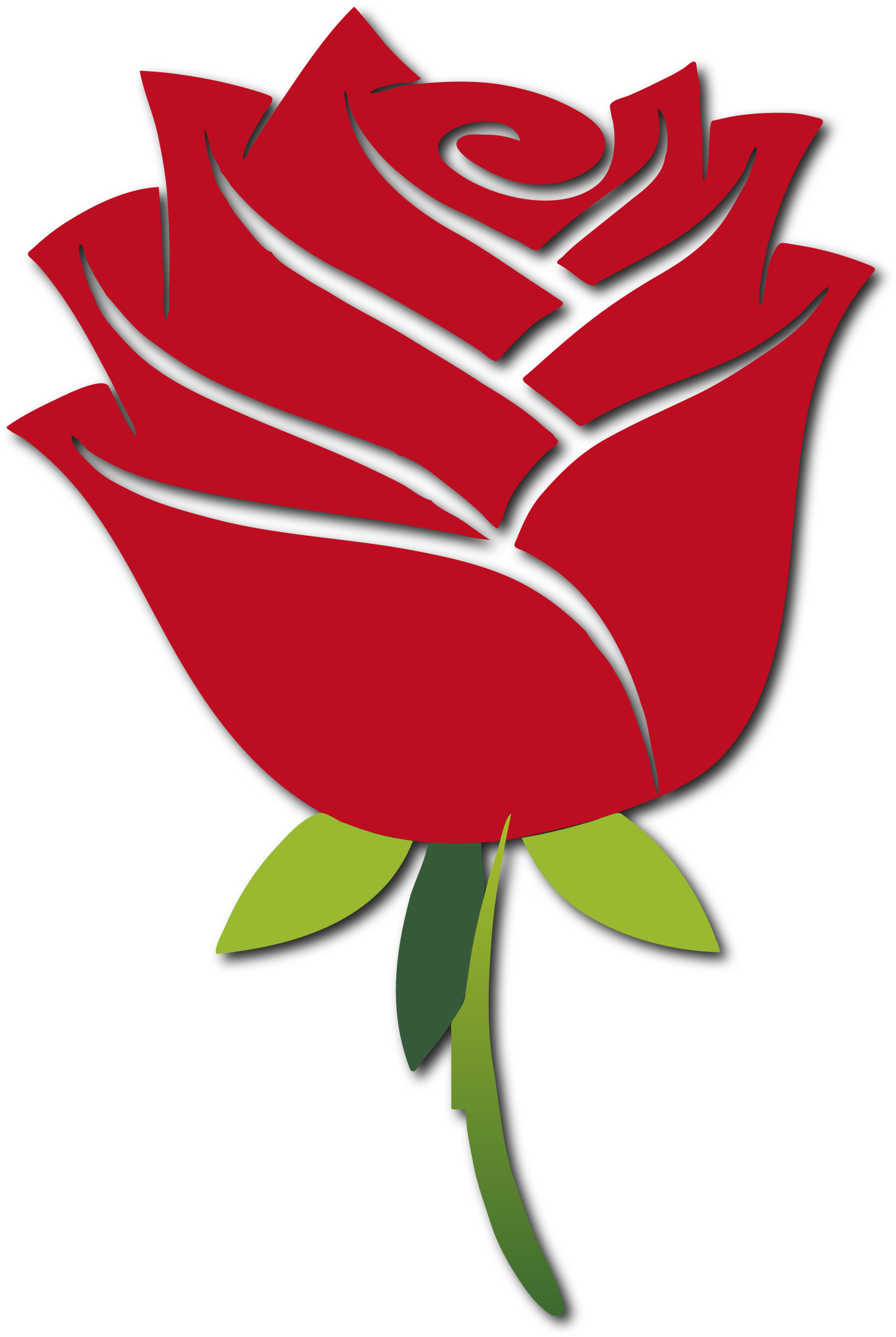 Rose - Anmol Moti Hazrat Ali (1594x2400)