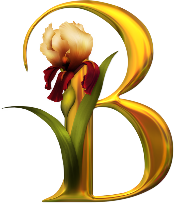 Tubes Alphabet - Page - Beautiful Pics Of Alphabets (684x800)