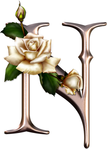 Alphabet Pink With Roses - Alfabeto Rosa Con Rosas (359x500)