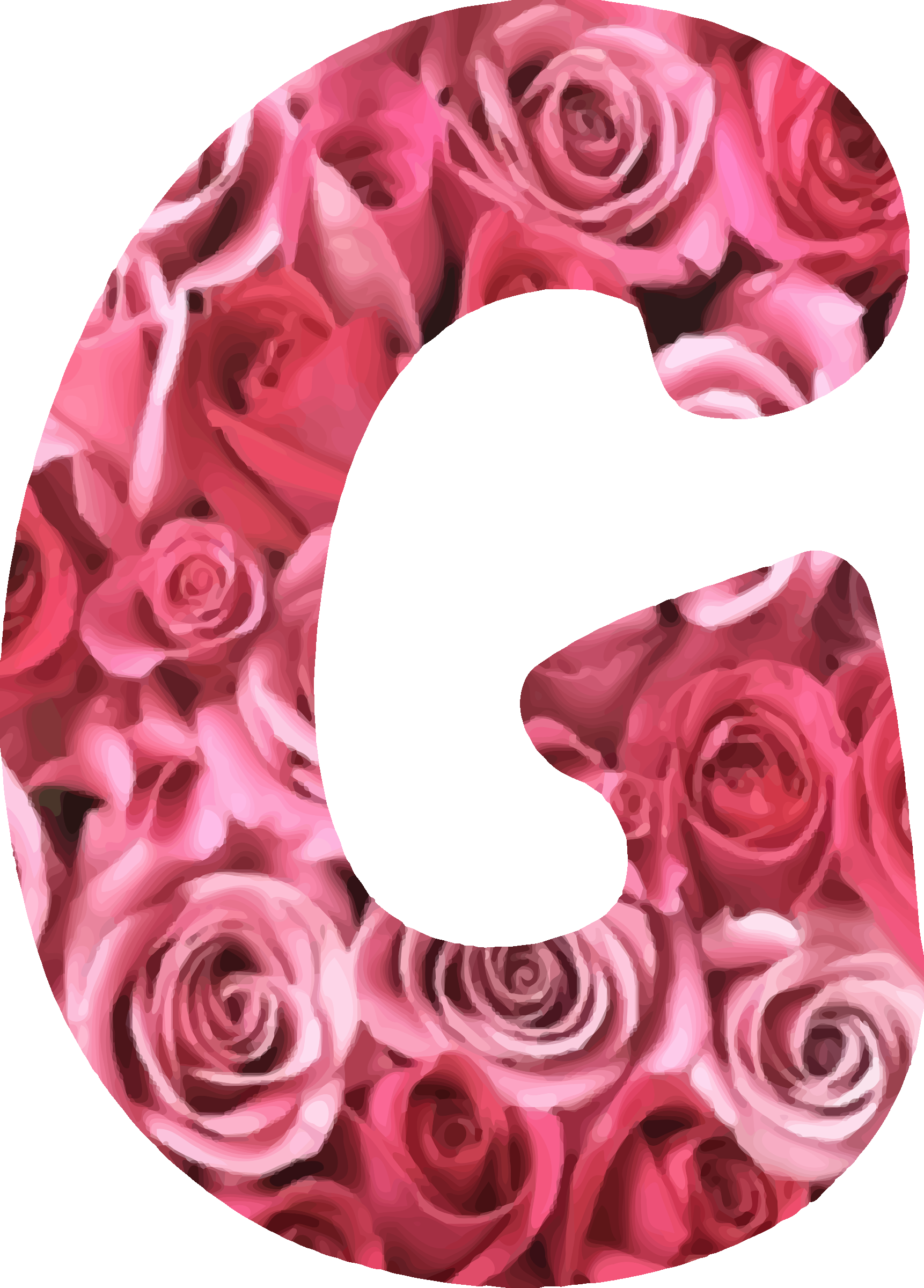 Big Image - Lower Case G Roses (1722x2400)