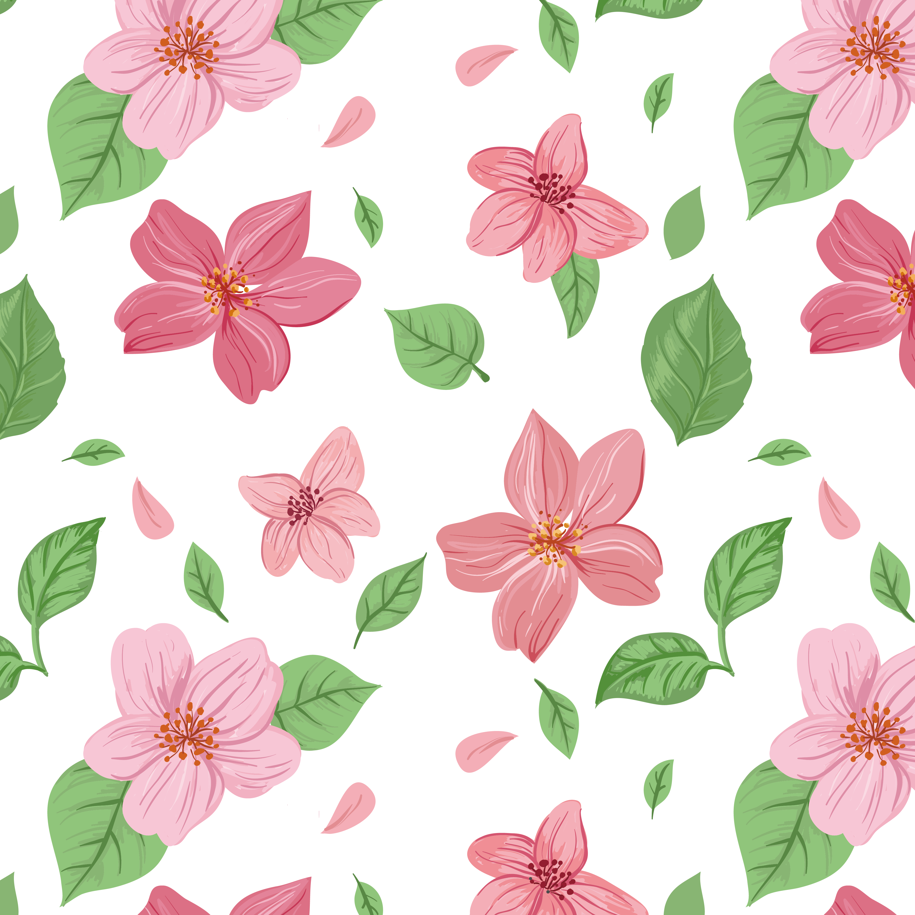 Pink Flowers Euclidean Vector - พื้น หลัง ดอกไม้ การ์ตูน ย (3750x3750)