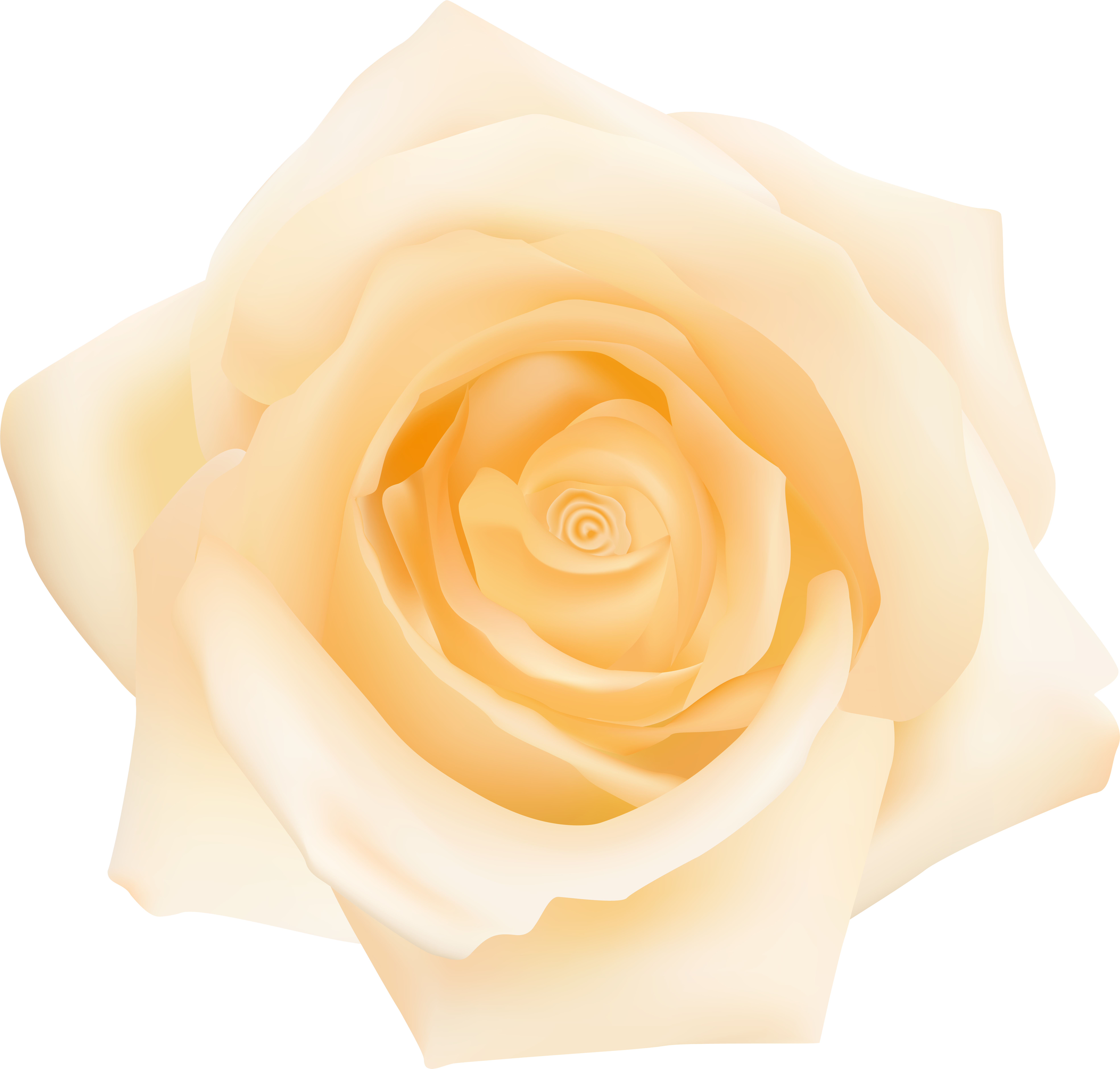 Garden Roses Cut Flowers Petal Yellow - Garden Roses Cut Flowers Petal Yellow (8000x7636)