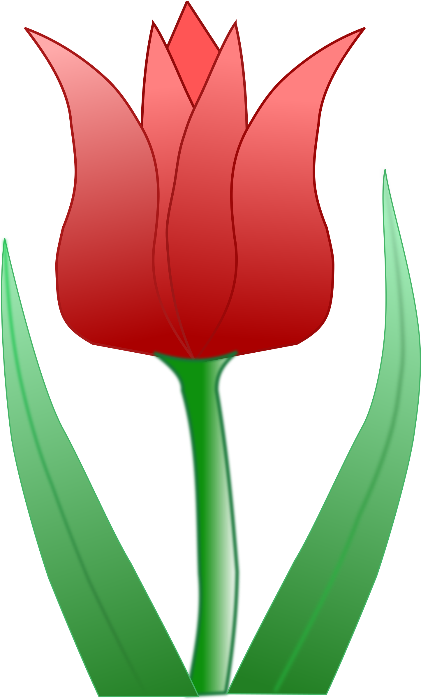 Big Image - Cartoon Tulip Flower (1445x2400)