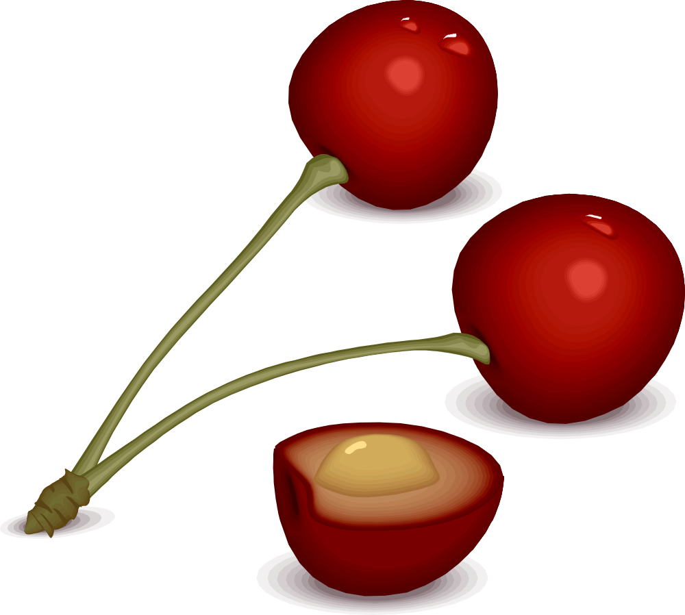 Cherry Blossom Clip Art - Cherry Blossom Clip Art (835x750)