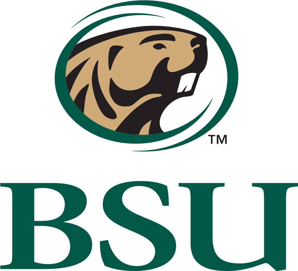 Bemidji State Beavers - Bemidji State University Pennants (1000x1000)