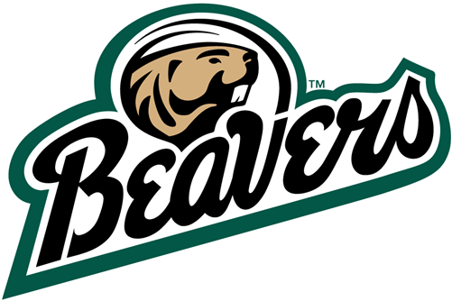 Bemidji State Beavers 2004 Pres Alternate Logo Light - Bemidji State Beavers Logo (500x500)