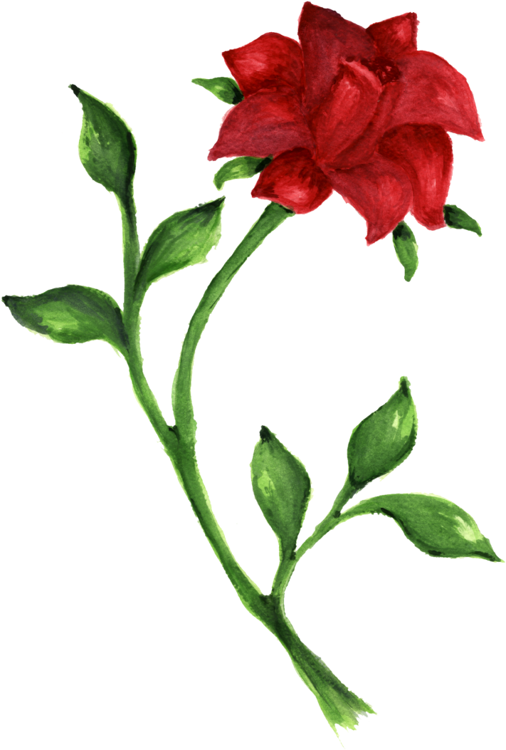 Rose Drawing Desktop Wallpaper Clip Art - Rose Drawing Desktop Wallpaper Clip Art (772x1118)