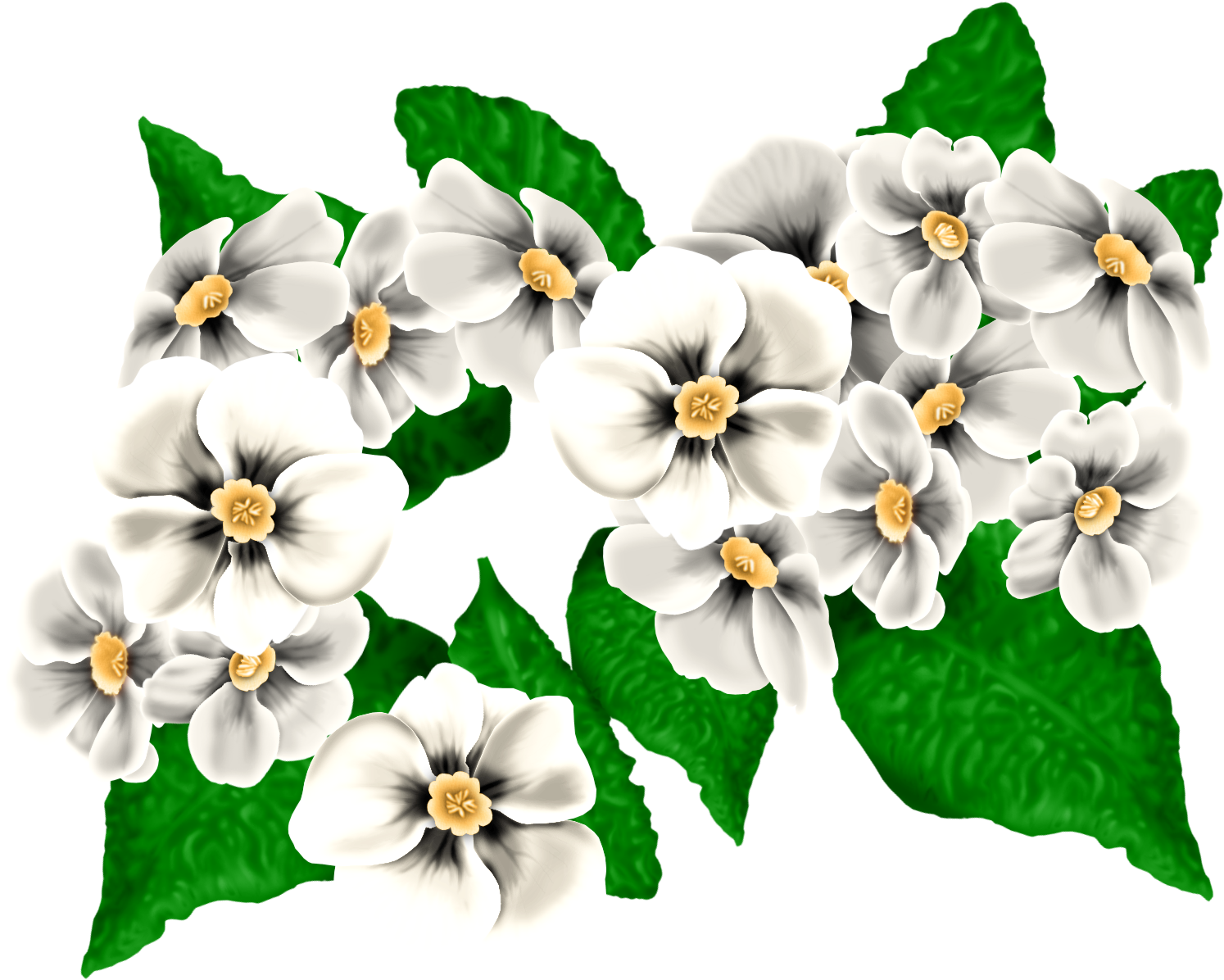 0 134569 A04db3df Orig - Viola (1520x1211)