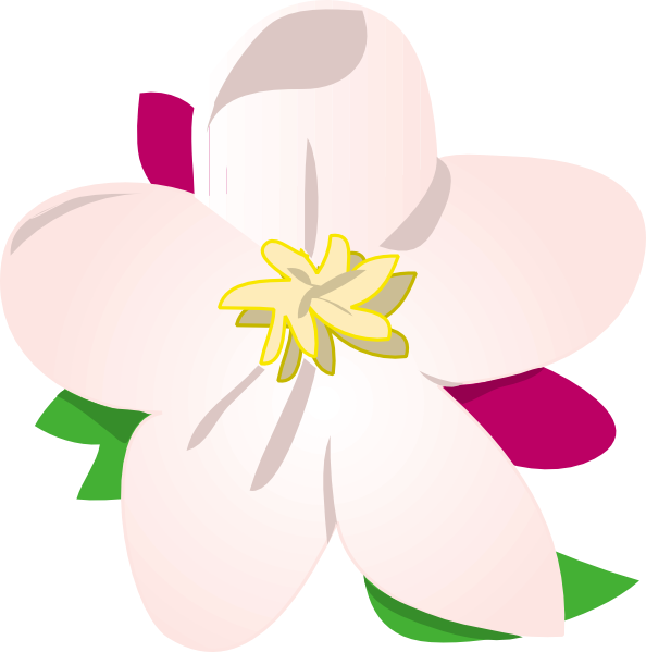 Free Vector Apple Blossom Clip Art - State Flower Of Michigan (594x599)