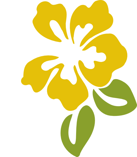 Buttercup Clipart Hibiscus Flower - Hibiscus Clip Art (522x596)
