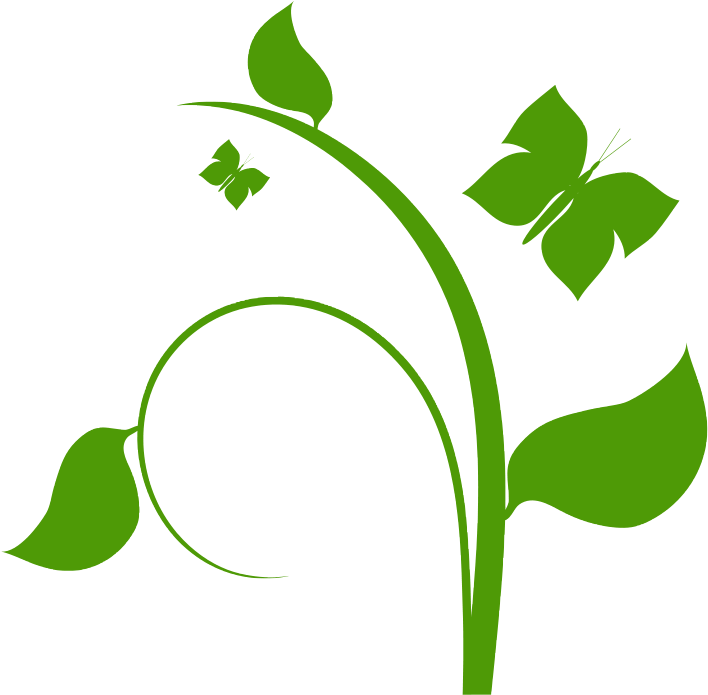This Free Clip Arts Design Of Flower Schwartz - Flower Vine Clip Art (804x900)