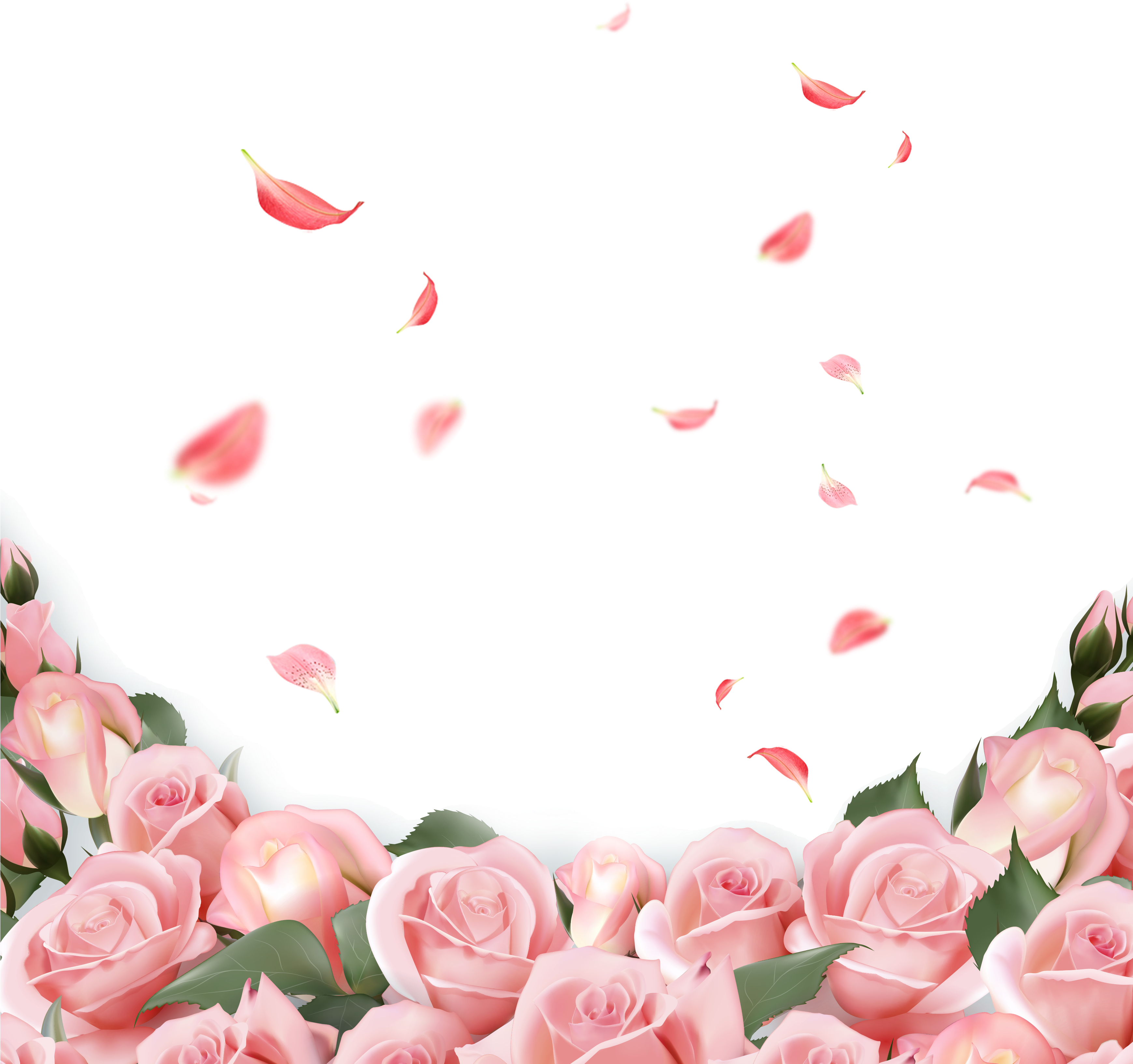 Rose Flower Wedding Invitation Pink - Rose Flower Wedding Invitation Pink (3478x3428)