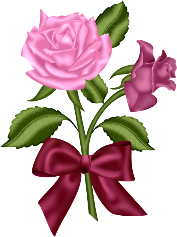 Andy-video На Яндекс - Rose (612x800)