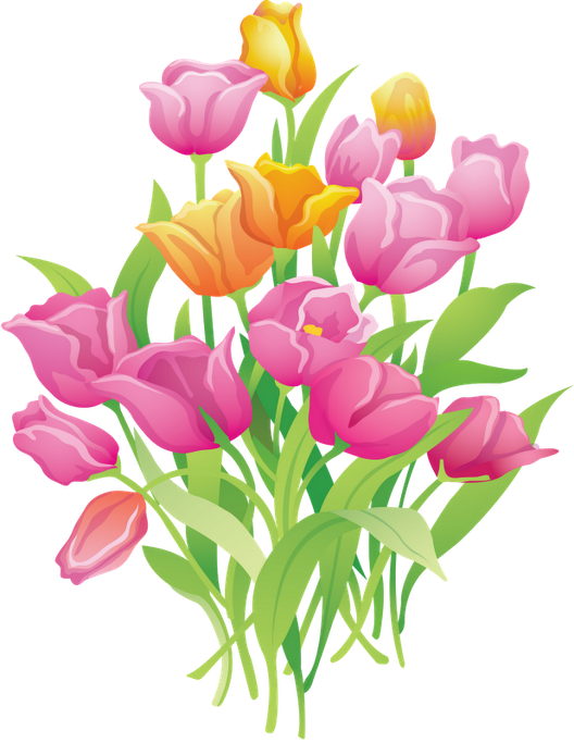 Flower Clipart, Pretty Pictures, Flower Pictures, Art - Tulip Cartoon Png (528x683)