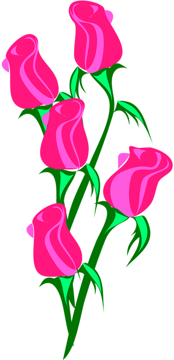 Rose Clipart Love Flower - Roses Clip Art (360x720)