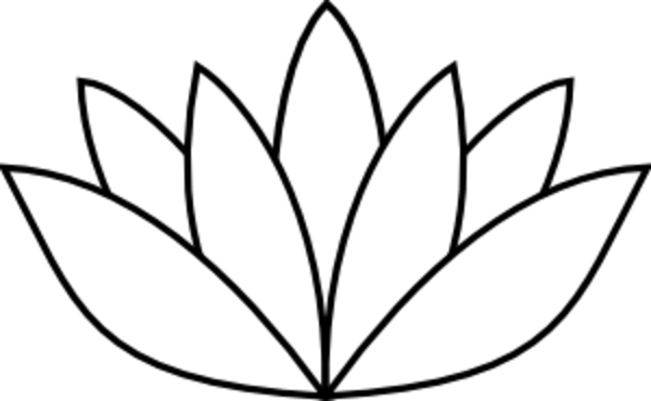 Lotus Flower - Lotus Flower Drawing Simple (600x370)