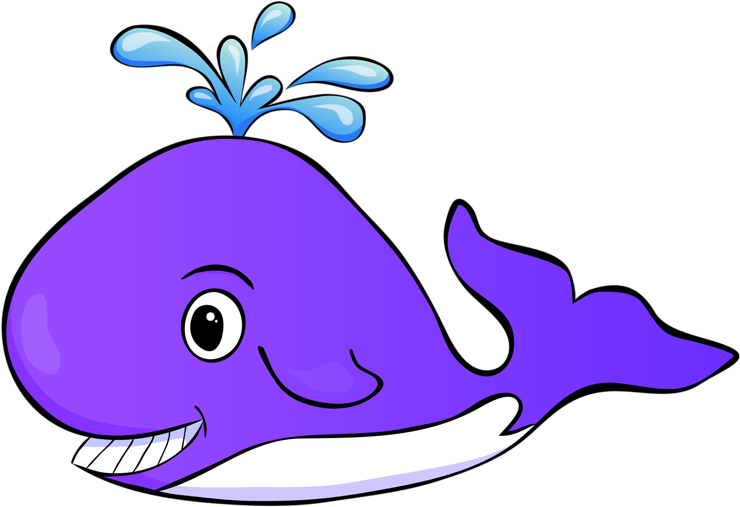 Marine Mammal Marine Biology Clip Art - Cartoon (800x556)