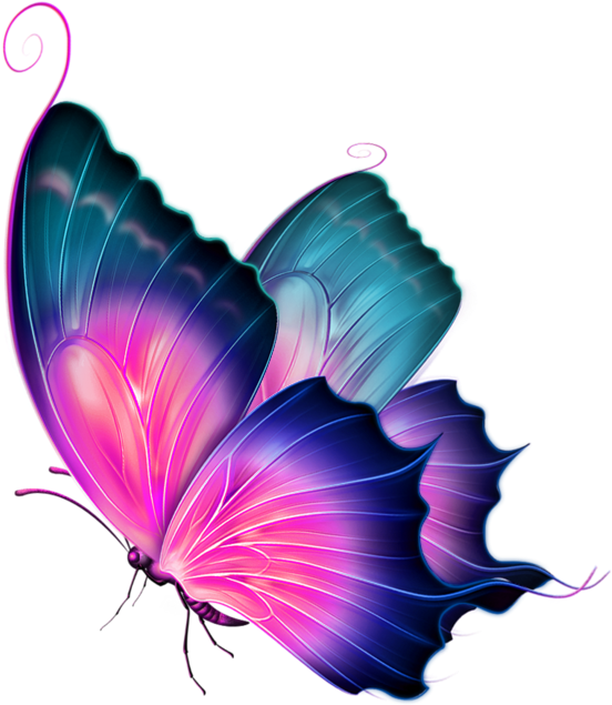 Butterfly Clip Art - Color Fairies And Flowers! [book] (658x743)