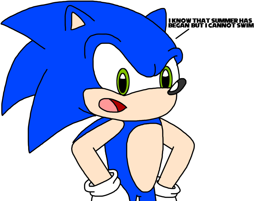 Sonic Runners Lego Dimensions Sonic The Hedgehog Sonic - Cartoon (894x894)