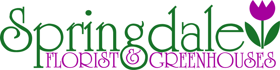 Springdale Florist & Greenhouses - Springdale Florist & Greenhouses (975x246)