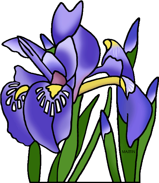 Michigan State Wild Flower Dwarf Lake Iris - Tennessee State Flower Png (575x648)