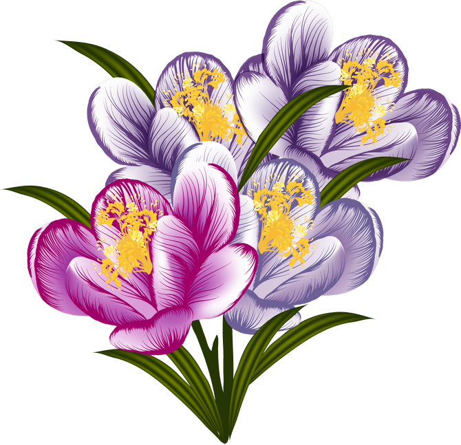 Beautiful Flowers - Page - Designart - Vector Purple Flowers - Floral Art Canvas (670x647)