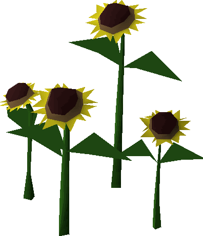 Sunflower Built - Old School Runescape (396x461)