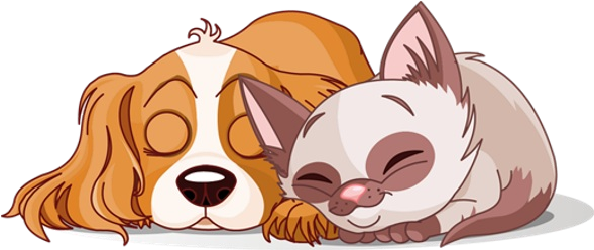 Dog & Cat Clipart - Cavalier King Charles Spaniel (600x600)