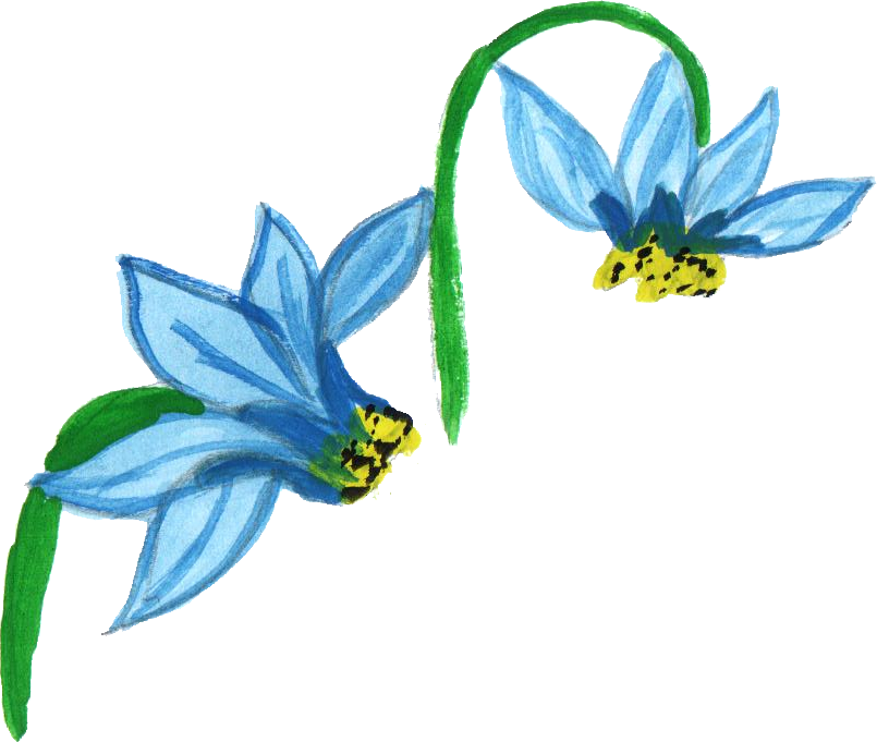 Free Download - Transparency (805x681)