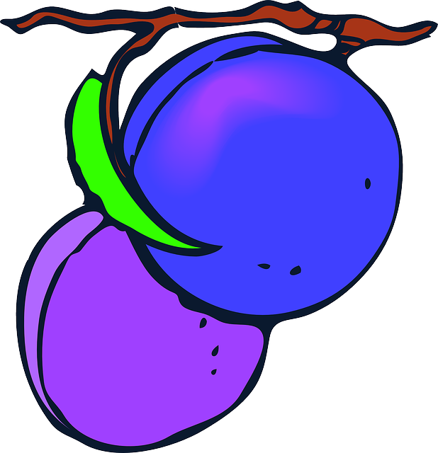 Food, Fruit, Cartoon, Purple, Plant, Plum, Plums - Plums Clip Art (618x640)