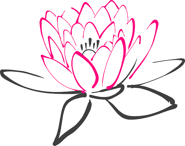 Water Lily - Google Search - Drawing Black And White Flower Clip Art (640x503)