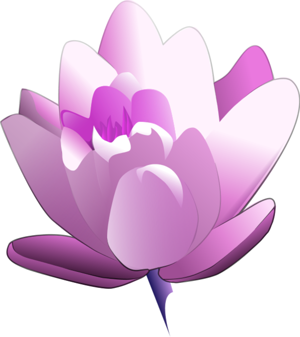 Water Lily Flower Clip Art - Water Lily Clipart (600x673)