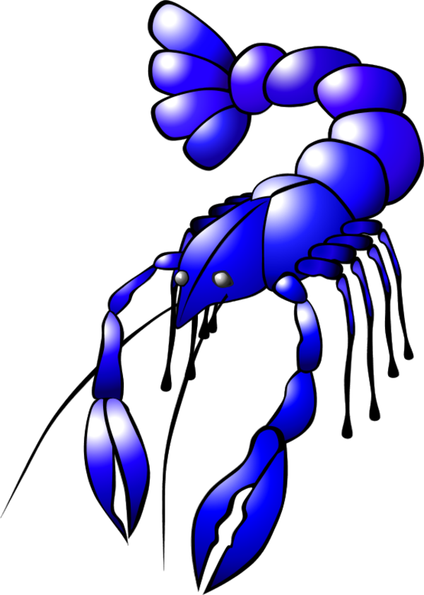 Vector Clip Art - Crawfish Clip Art (600x842)