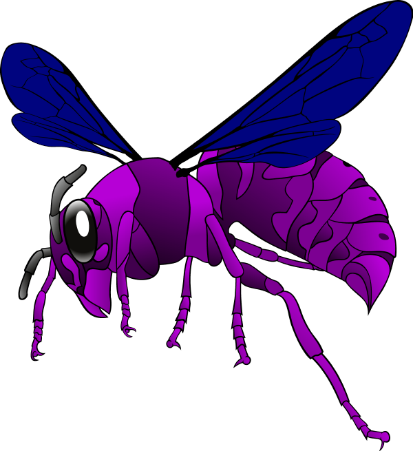 Hornet Vector Clip Art - Hornet Svg (600x655)