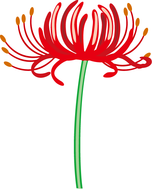 Red Spider Lily Floral Design Flower Clip Art - Spider Lily Clip Art (508x631)