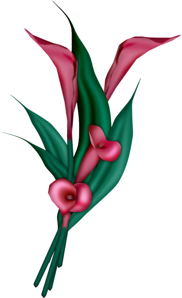 3d Cards, Art Flowers, Orchids, Scrapbooking, Floral, - Calla Lily Blue Png (420x647)