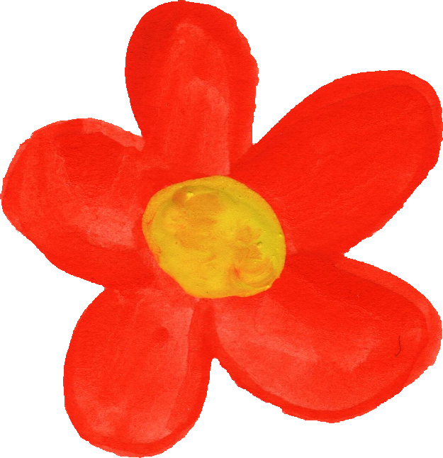 Free Download - Dicotyledon (625x646)