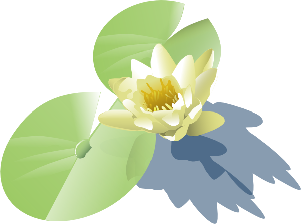 Lily Pad Clip Art (640x480)