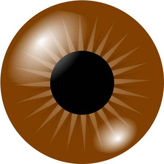 Brown Eye Clip Art At Clker - Brown Eye Clipart (600x546)