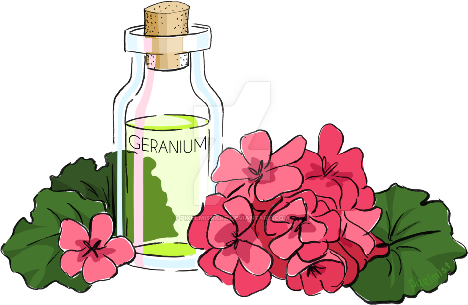 Geranium Essential Oil By Pixelmistart - Geranium Essential Oil (1024x792)