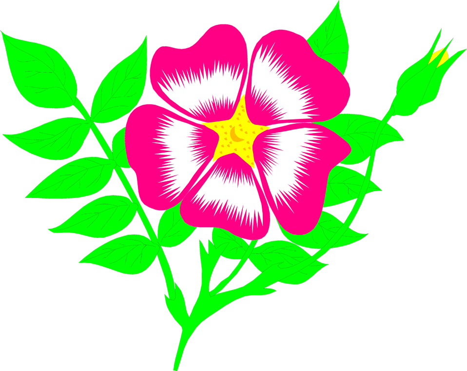 Free Stock Photos - Animated Flowers (958x761)